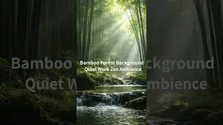 Bamboo Forest Background &ndash; Quiet Work Zen Ambience #shorts
