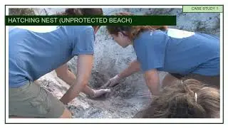 REHABILITATION CENTRE FOR ENDANGERED MARINE SPECIES (TURTLE)