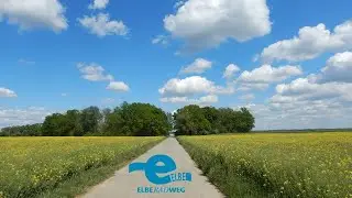 Auf dem Elberadweg von Wittenberg nach Torgau