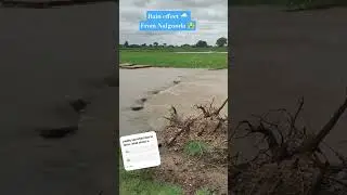 #paddy #nalgonda #rain  #miryalguda #heavyraining