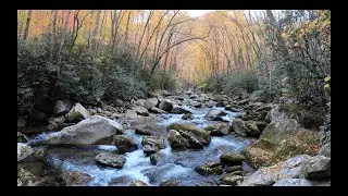 Hiking to Mouse Creek Falls via Big Creek Trail - Great Smoky Mountains National Park