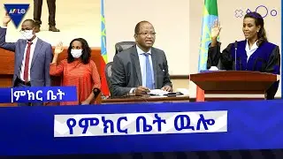 የምክር ቤት ዉሎ