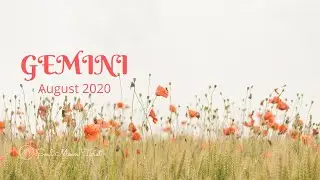 GEMINI  August 2020