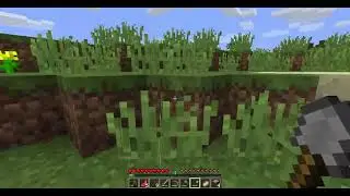 Minecraft survive ep2