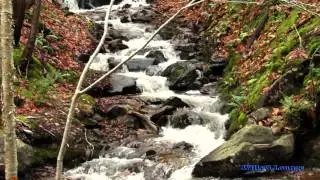Day 2: MacIntosh Brook - Cape Breton Highland National Park