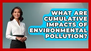 What Are Cumulative Impacts Of Environmental Pollution? - Social Issues For Everyone