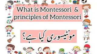 What is Montessori complete detail in Urdu| things you should know before choosing school مونٹیسور ی