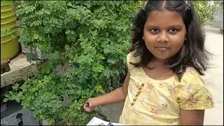 Blue Beauty #nilkantha #aparajita #youtube #viralvideo #garden #flower 