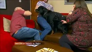 Dave Malone the Rottweiler is a legend! 🐶😂 Gogglebox