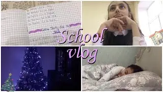 VlogMas✨ / подготовка к новому году, школа, уроки, тренировка❣️