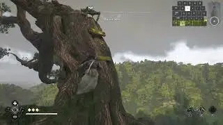 AC Shadows How to Find Mount Sen Lookout Location - Assassin's Creed Shadows