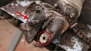 CLINING and REMOVING Iron from Cow Feet | EP/002027 #cowhoof #hoofcleaning #cowcare