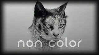Cat Drawing | Cat Whiskers and Concentration | NON COLOR