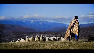 2000 DE OI BLOCATE IN ZAPADA DE CRACIUN - CIOBANUL CIOCAN TRANSHUMANTA