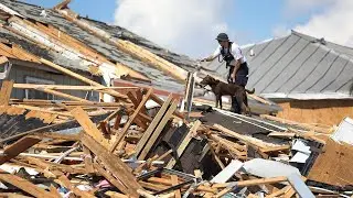 Hurricane Michael death toll now at least 29