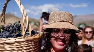 Areni Wine Festival 2016