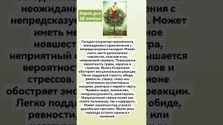 #28#ноябрь #2024 #гороскоп #прогноз #tarot #эмоции
