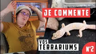 #2 LES TERRAS DES ABONNÉS - Son gecko a une position vraiment étrange...