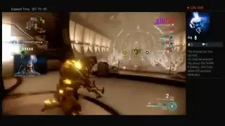 Iron skin build Rhino Warframe