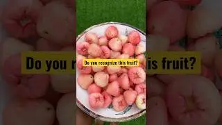 What Do You Call This FRUIT? #sisiyemmie