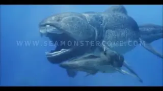 Dunkleosteus in Virtual aquarium &ldquo;Sea Monster Cove&rdquo; !