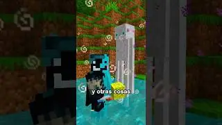 Limpiando a un Enderman 🧼