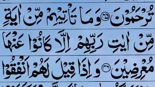 Surah Yaseen for Peace & Stress Relief| Calm Quran Recitation |Hujveri |يس سورهQari Ali Raza