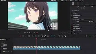 Retime - Topaz Interpolation.