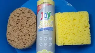 Joy Lemon Powder and Hot Water ⚠️HIGH TRYPOPHOBIA WARNING⚠️
