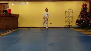 Bianca Dom&iacute;nguez Heemsen HN