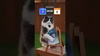 Cat Rates the Dog&rsquo;s Fetch Skills #dogshorts #cat #petsrule #funnyanimal #catsanddogs #furbaby