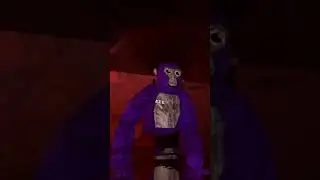 No ID? No Problem | Gorilla Tag