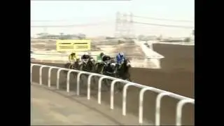 Jebel Ali - 4 March 2016 - Shadwell Farm - Forjatt (IRE)