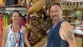 Carnival Glory 2019