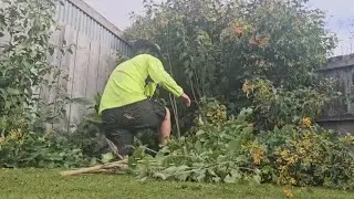 Can I Clean Up This Messy Garden in One Day?
