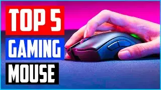 Top 5 Best Gaming Mouse in 2021