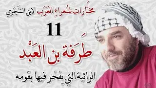 مُختارات شعراءِ العرب لابن الشَّجَري | طرفة بن العبد | أصحوتَ اليومَ أم شاقتك هر _011