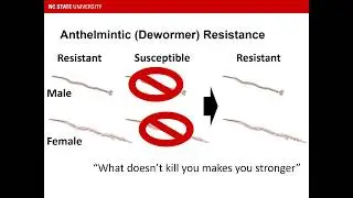 Understanding Parasite Susceptibility & Resistance