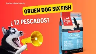 Dog Food Review: Orijen Dog Six Fish