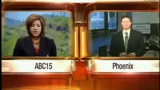 AZ Legislation head back to financial problems