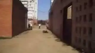 idiot4
