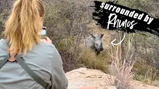 My best Rhino encounter on foot in South Africa