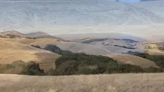 Ep9. East Bay Hikes - Morgan Territory