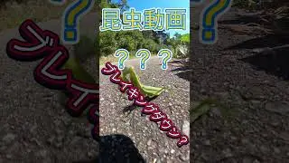 カマキリツーリング？#カマキリ #モトブログ #automobile #ja44 #バイク女子 #スーパーカブ110 #ツーリング #スーパーカブ #春日山城