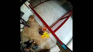 3 dogs shower by keV and keL