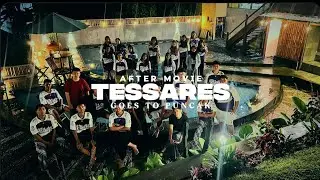 Tessares after movie