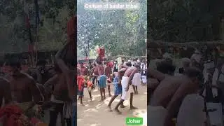 culture of bastar tribal #culture #bastar #tribal #shortvideo #reels #dantewada @NOJ12 #2026