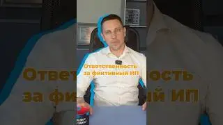 Индивидуальный предприниматель и статьи 173.1 и 173.2 УК РФ.