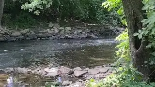 Michigan State begins installing permanent fencing around Red Cedar River