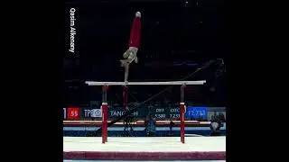 Analysis of performance accuracy (E-Execution) of German gymnast Lukas Dauser on the parallel bars